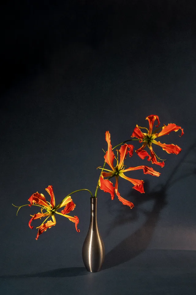 Ikebana I