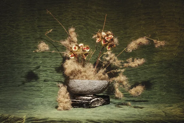 Ikebana I