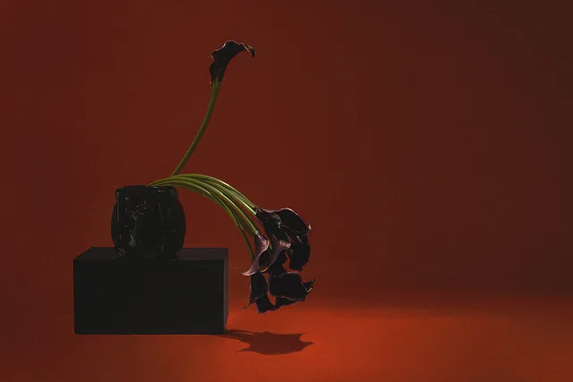 Ikebana I